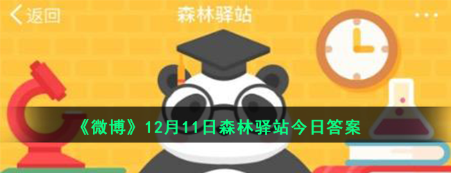 《微博》12月11日森林驿站今日答案