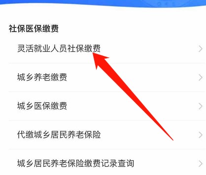 《支付宝》2021社保缴纳方法