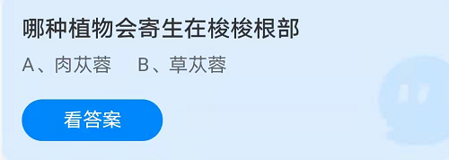 蚂蚁庄园11月23日答案最新