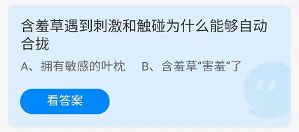 蚂蚁庄园11月22日答案最新