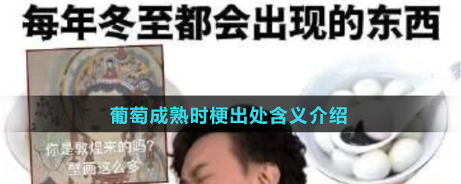 葡萄成熟时梗出处含义介绍