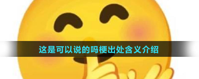 这是可以说的吗梗出处含义介绍