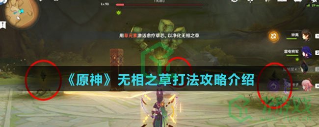 《原神》无相之草打法攻略介绍