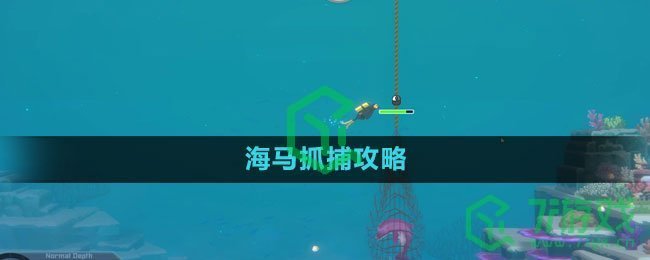 《潜水员戴夫》海马抓捕攻略