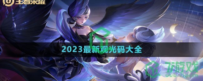 《王者荣耀》2023最新观光码大全