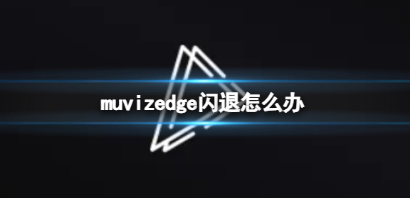 muviz edge汉化中文版