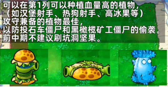 植物大战僵尸杂交盲盒重开版