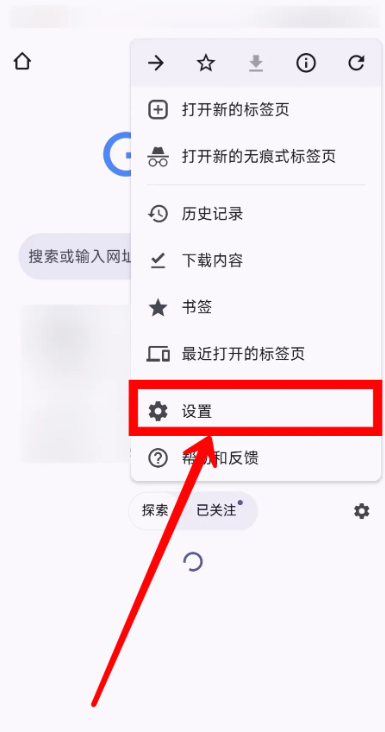 Chrome浏览器app绿色精简增强版