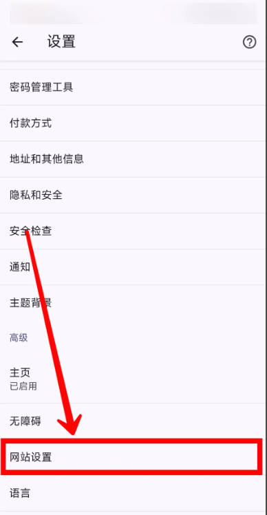 Chrome浏览器app绿色精简增强版