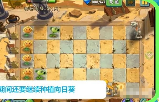 pvz迷你版