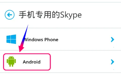 skype绿色版