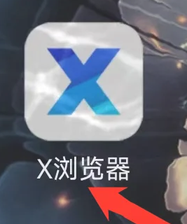 X浏览器中文版