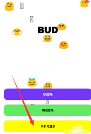 BUD虚拟社交