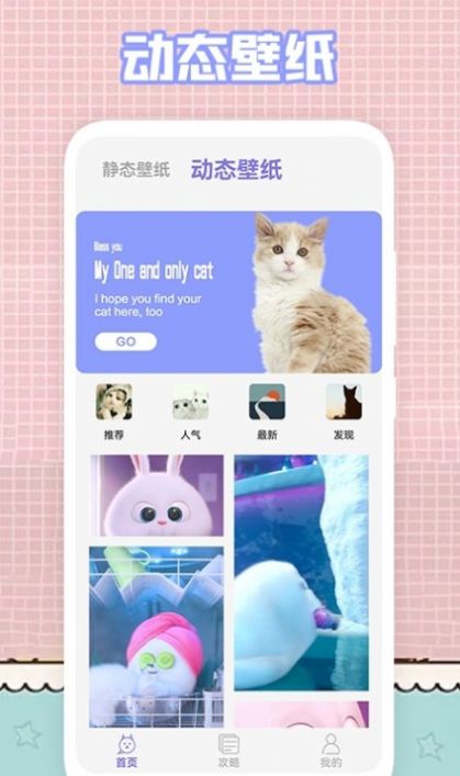 我的猫咪截图