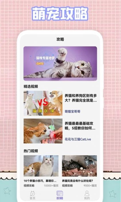 我的猫咪截图