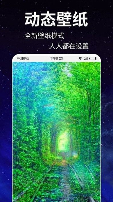 动态壁纸4k截图