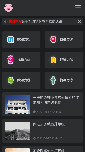 BT磁力猪最新版截图