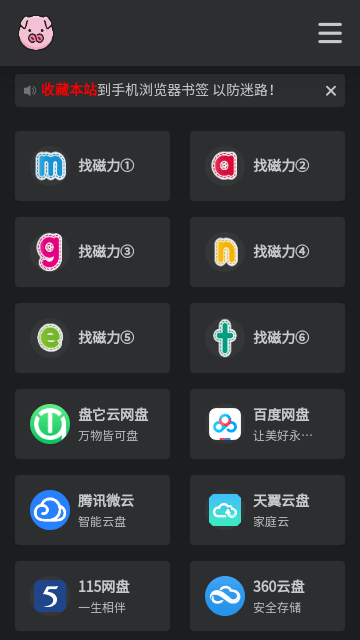 BT磁力猪最新版截图