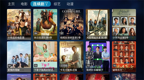 TVbox手机版截图