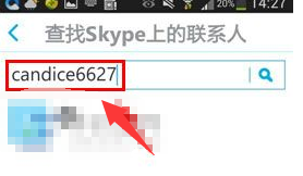 skype正版